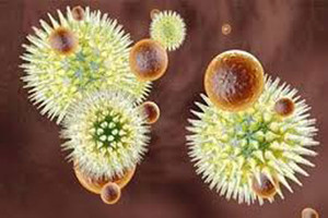 غينيا تعلن خلوها من فيروس الإيبولا الذي أودى بحياة 2500 شخص