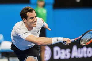 موراي يبدأ الموسم بفوز سهل في كأس هوبمان للتنس