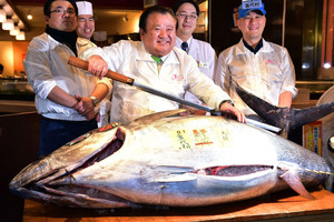 سمكة تونة عملاقة تباع بـ117 ألف دولار في اليابان