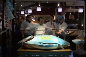 بالفيديو... سمكة تونة تباع بسعر فلكي في طوكيو