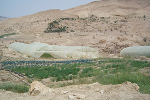 حماية الطبيعة والتنوع الحيوي أهم سبب في بقاء البشرية