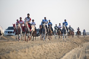 ناصر بن حمد يوجه الاتحاد الملكي للاستعداد المبكر لسباق خالد بن حمد للقدرة