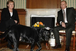 بوتين: لم أكن أعلم شيئا عن نفور ميركل من الكلاب