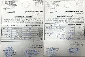 بالوثائق.. منع استيراد الأغنام الإيرانية بسبب «الحمى القلاعية»