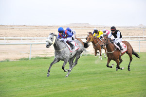 أكبر المشاركات للجياد للفوز بكؤوس ناصر بن حمد وأنجاله