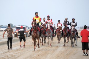 تواصل الاستعدادات لانطلاق بطولة خالد بن حمد للقدرة