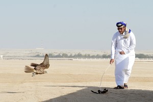 غداً انطلاق منافسات الأسبوع الثاني على كأس فيصل بن راشد