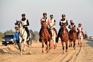 بعد ختام بطولة خالد بن حمد للقدرة