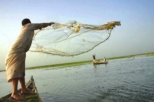 بحارة يشكون لـ 'الثروة السمكية' ارتفاع سعر البنزين