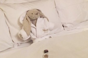 بالصور... عناية 5 نجوم للعبة أرنب مفقود