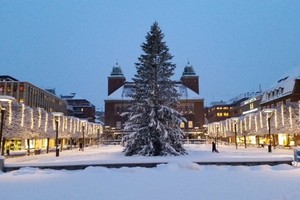 بالصور: تساقط كثيف لثلوج في غوتينبرج بالسويد