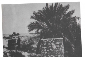 الدولة العَيُونية وإعادة الاستيطان على الساحل الغربي للبحرين (1)