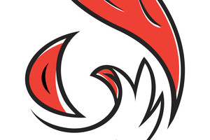 الأولمبية صرفت مكافآت الفوز للاعبي 'أحمر اليد'  قبل مواجهة السعودية