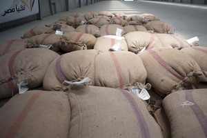 هيئة السلع التموينية المصرية: لا قرار نهائياً برفض شحنة القمح الفرنسي لحوائها على 'الإرجوت'