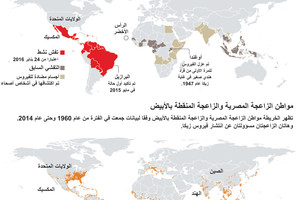 انفوجرافيك... الصحة العالمية تحذر من انتشار فيروس 'زيكا' في الأميركيتين