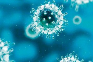 الإمارات تعلن وفاة مواطن بفيروس 'كورونا'