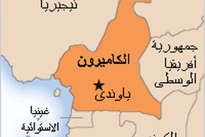 مسئول: هجوم انتحاري مزدوج على مدرسة في شمال الكاميرون