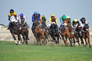 غدا... كؤوس اللكزس وفطيس الهاجري في السباق الـ 13 للخيل