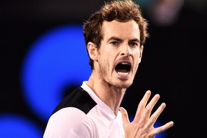 موراي يصعد إلى نهائي بطولة أستراليا المفتوحة للتنس