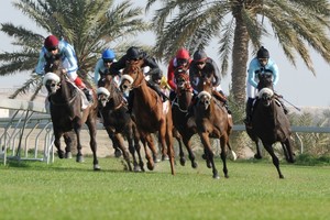استعدادات لمهرجان ولي العهد وعيسى بن سلمان يوجه لإقامة سباق للمتمرنين