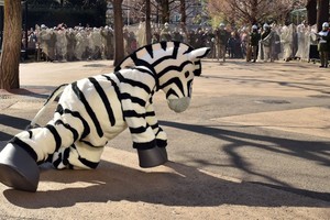 بصور طريفة... أزمة قلبية وجروح في 'هروب حمار وحشي' بطوكيو