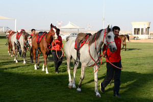 ناصر بن حمد: ثقتنا كبيرة بتحقيق فرساننا نتائج متميزة في كأس رئيس دولة الإمارات للقدرة