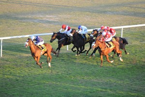 كؤوس أل شريف ومصانع التاج تشعل صراع الجياد