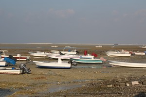 صيادون في شارع البديع يشتكون من عدم تخصيص مرفأ لهم