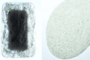 'لكزس' تعلن أسماء المتأهلين الـ 12 لنهائيات 'جائزة لكزس للتصميم 2016'