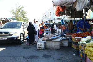 بالصور... انخفاض أسعار الأسماك بالأسواق المحلية