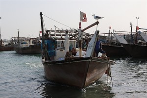 'مرفأ سترة'... إنطلاقة الصيادين لتزويد الأسواق بالأسماك والروبيان