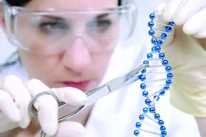 ما هي الابتكارات الستة التقنية المفيدة التي تدخل الأسواق هذا الصيف؟