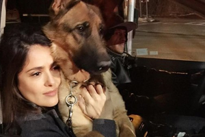 سلمى حايك في حداد على كلبها 'موزارت' وتطالب الشرطة بالتحقيق في مقتله 