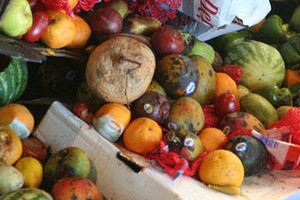 دور منظمة الأغذية والزراعة للأمم المتحدة في مجال فقد الأغذية وهدرها