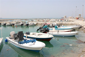 مرفأ البديع لسفن الصيادين... نقطة البداية لصيد الأسماك