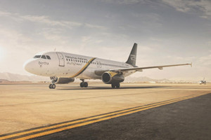 طائر يربك طائرة سعودية لدى هبوطها بالقاهرة