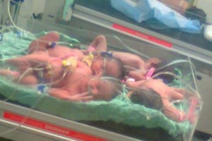 عائلة فلسطينية تعاني من العقم تُرزق بـ4 توائم