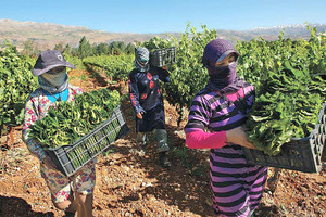 كلفة تغير المناخ على لبنان 80 بليون دولار سنوياً