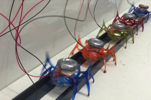 روبوتات تحاكي أرجل النمل تجر سيارة تزن طنين