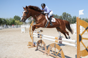 الاتحاد الملكي ينظم بطولة ختام الموسم لقفز الحواجز