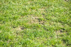 المطالبة بمزيد من الاحترام للمنتخب البحريني