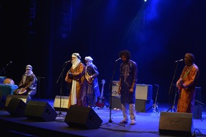 'تيناريوين' تحيي خشبة الصالة الثقافية بألحان موسيقية رائعة