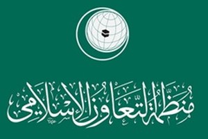 إنطلاق أعمال قمة منظمة التعاون الإسلامي في إسطنبول بمشاركة 30 دولة