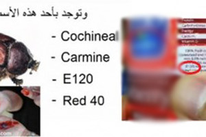  تعرفوا على الحشرة التي نأكلها يومياً دون أن نعلم