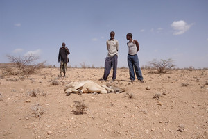 'التخلي عن كل ما يموت'