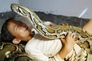 بالصور... أغرب صداقة في العالم طفل وثعبان!!