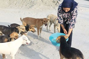  الناشطة البستكي: رصدنا عدة حالات تعذيب وقتل بوحشية للكلاب في سترة 