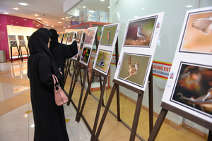 بالصور... المشاركون في معرض الوسط للحياة الفطرية  