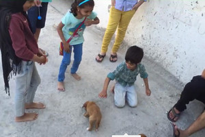 بالصور...أهالي سترة لجمعية الرفق بالحيوان: أطفالنا رحماء بالكلاب الضالة وعليكم بالبحث عن حلول جذرية بدل حملات التشويه 