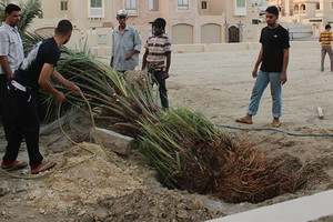 'المرخ الخيرية' تحيي يوم الأرض 